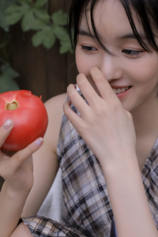 凤梧洞战斗